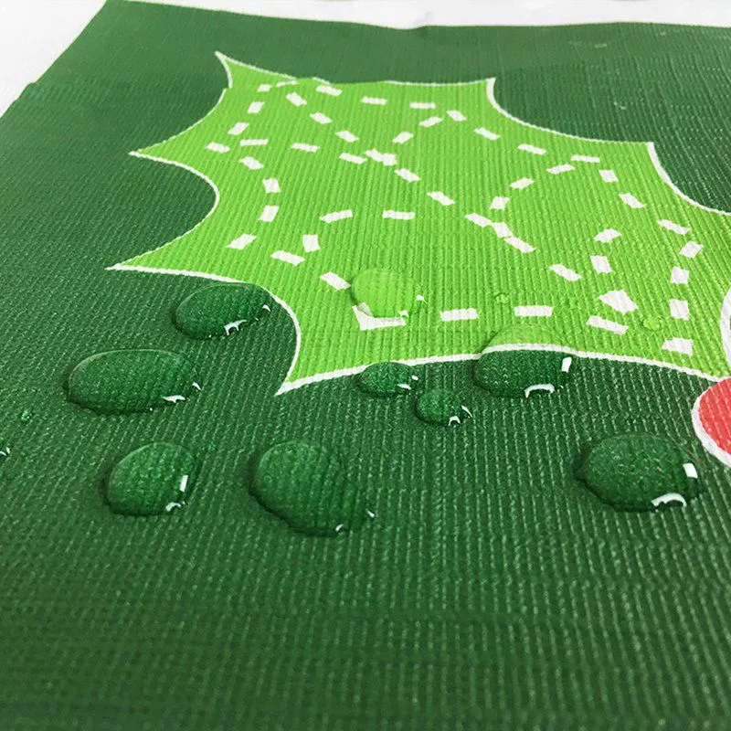 2022 Hot Sell Waterproof Tablecloth Merry Christmas Table Cloth Waterproof tablecloth for Home Party Hotel Hx-1168